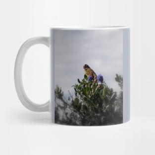 White crowned sparrow in a blue blossom Ceanothus Thyrsiflorus bush Mug